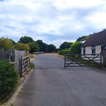 Garden Flat At The Infamous Piltdown Man Pub Apartment Fletching Екстериор снимка
